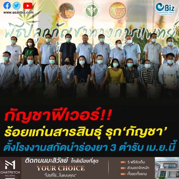 กัญชาฟีเวอร์!!ร้อยแก่นสารสินธุ์ รุก‘กัญชา’ตั้งโรงงานสกัดนำร่องยา 3 ตำรับ เม.ย.นี้