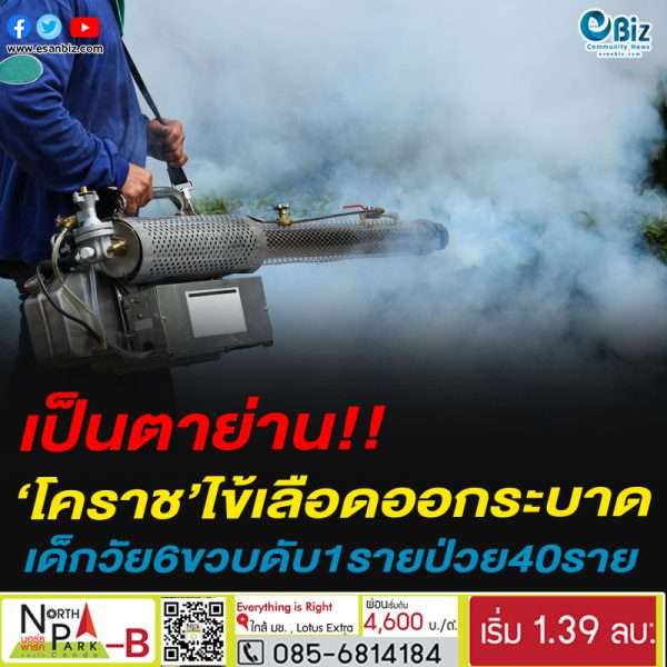 เป็นตาย่าน!!‘โคราช’ไข้เลือดออกระบาดเด็กวัย6ขวบดับ1รายป่วย40ราย