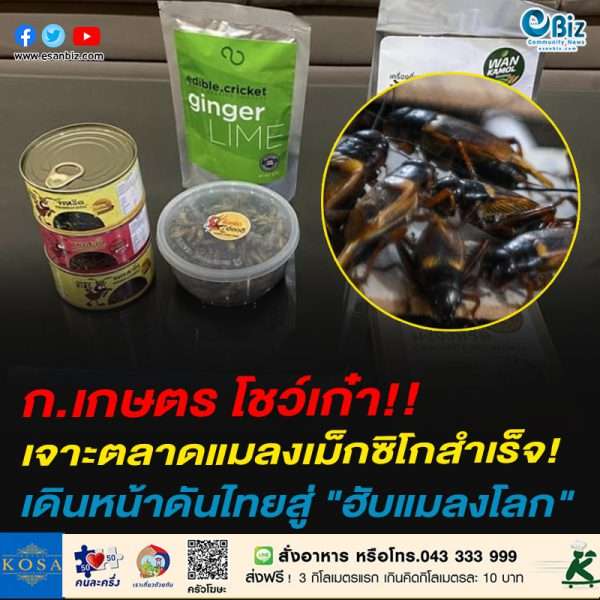 ก.เกษตร โชว์เก๋า!!เจาะตลาดแมลงเม็กซิโกสำเร็จ!เดินหน้าดันไทยสู่ “ฮับแมลงโลก”