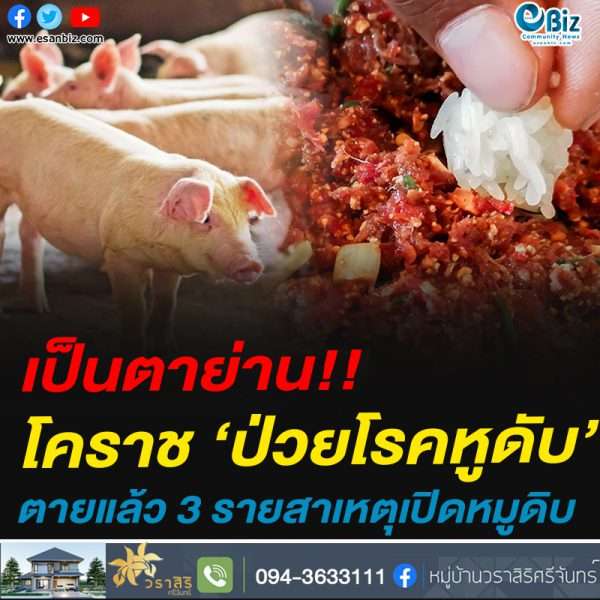 เป็นตาย่าน!!โคราช ‘ป่วยโรคหูดับ’ตายแล้ว 3 รายสาเหตุเปิดหมูดิบ
