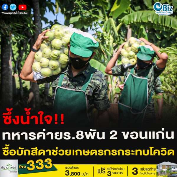 ซึ้งน้ำใจ!!ทหารค่ายร.8พัน 2 อ.ชุมแพ จ. ขอนแก่น ซื้อบักสีดาช่วยเกษตรกรกระทบโควิด