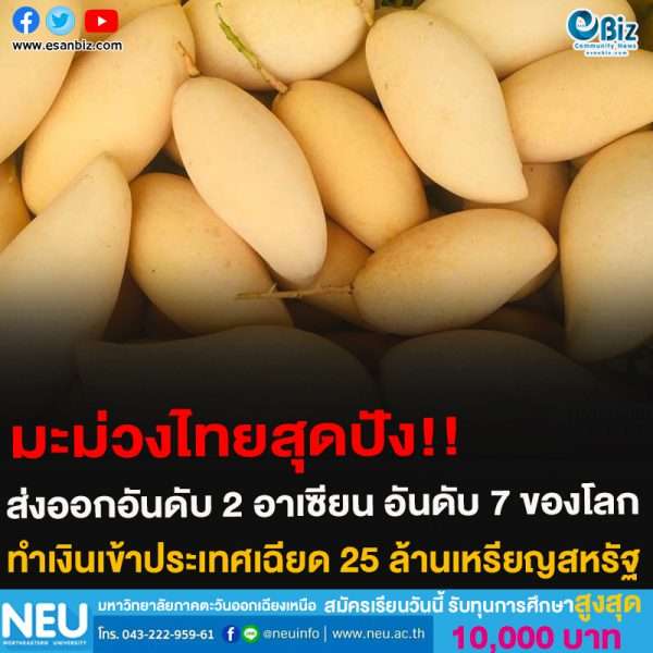 มะม่วงไทยสุดปัง!!ส่งออกอันดับ 2 อาเซียน อันดับ 7 ของโลกทำเงินเข้าประเทศเฉียด 25 ล้านเหรียญสหรัฐ