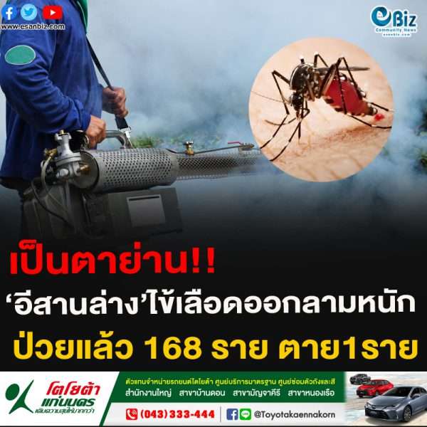 เป็นตาย่าน!!‘อีสานล่าง’ไข้เลือดออกลามหนักป่วยแล้ว 168 ราย ตาย1ราย