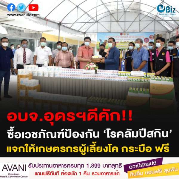 อบจ.อุดรฯดีคัก!!ซื้อเวชภัณฑ์ป้องกัน ‘โรคลัมปีสกิน’แจกให้เกษตรกรผู้เลี้ยงโค กระบือ ฟรี