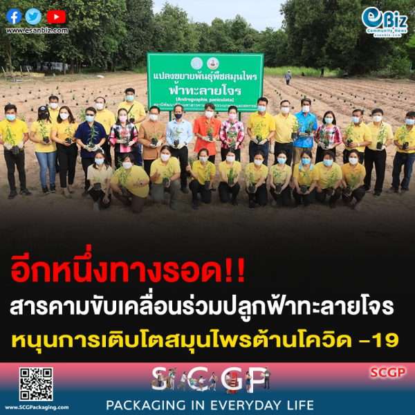 อีกหนึ่งทางรอด!! สารคามขับเคลื่อนร่วมปลูกฟ้าทะลายโจร หนุนการเติบโตสมุนไพรต้านโควิด -19