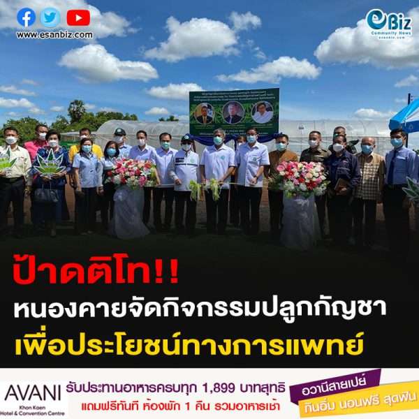 ป้าดติโท!! หนองคายจัดกิจกรรมปลูกกัญชาเพื่อประโยชน์ทางการแพทย์