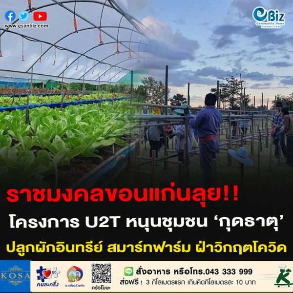 ราชมงคลขอนแก่นลุย!!โครงการ U2T หนุนชุมชน ‘กุดธาตุ’ปลูกผักอินทรีย์ สมาร์ทฟาร์ม ฝ่าวิกฤตโควิด