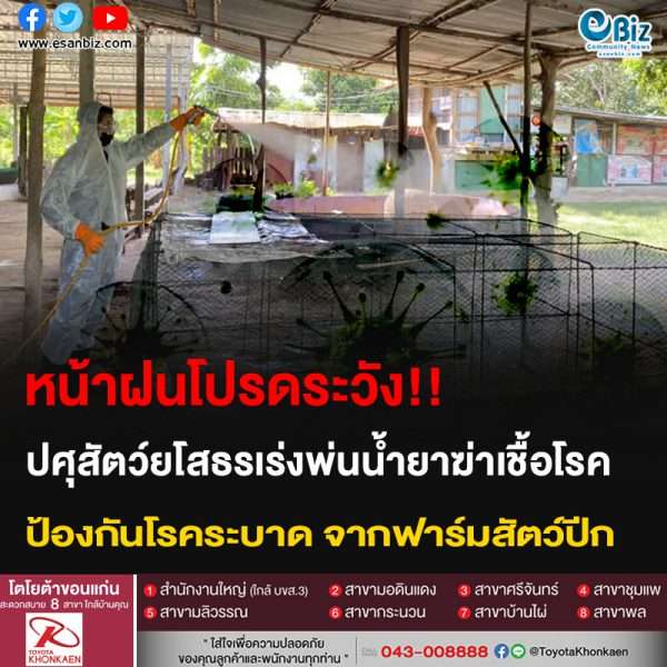 หน้าฝนโปรดระวัง!! ปศุสัตว์ยโสธรเร่งพ่นน้ำยาฆ่าเชื้อโรค ป้องกันโรคระบาด จากฟาร์มสัตว์ปีก