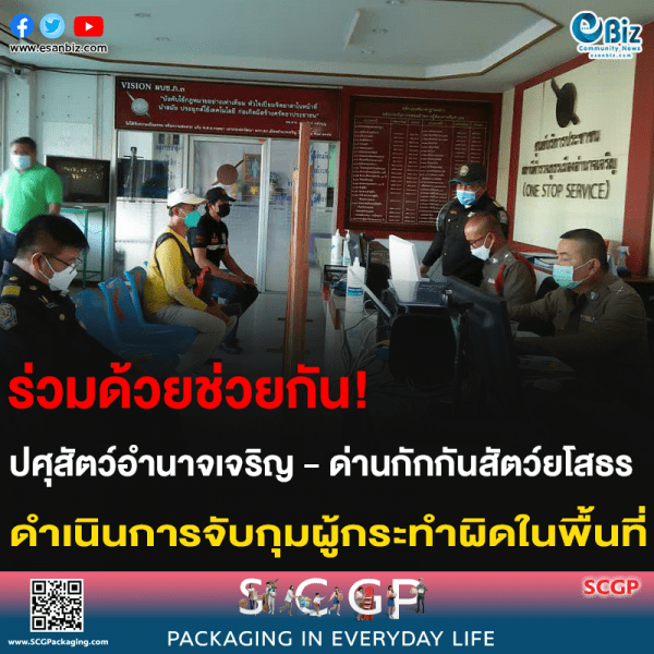 ร่วมด้วยช่วยกัน! ปศุสัตว์อำนาจเจริญ – ด่านกักกันสัตว์ยโสธร ดำเนินการจับกุมผู้กระทำผิดในพื้นที่