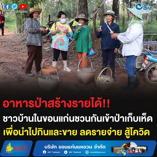 อาหารป่าสร้างรายได้!! ชาวบ้านในขอนแก่นชวนกันเข้าป่าเก็บเห็ด เพื่อนำไปกินและขาย ลดรายจ่าย สู้โควิด