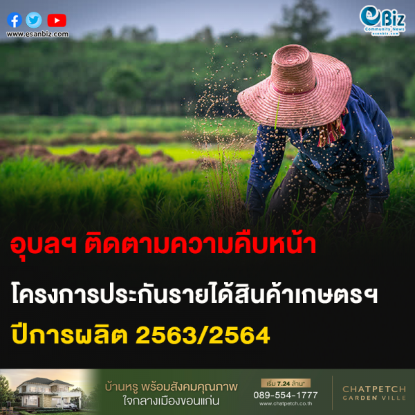 อุบลฯ ติดตามความคืบหน้า โครงการประกันรายได้สินค้าเกษตรฯ ปีการผลิต 2563/2564