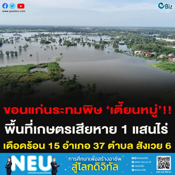 ปภ.ขอนแก่นอัพเดทอิทธิพล”พายุเตี้ยนหมู่”พื้นที่เกษตรเสียหาย 1 แสนไร ประชาชนได้รับความเดือนร้อน 15 อำเภอ 73 ตำบล 565 หมู่บ้าน มีผู้เสียชีวิต 6 คน  