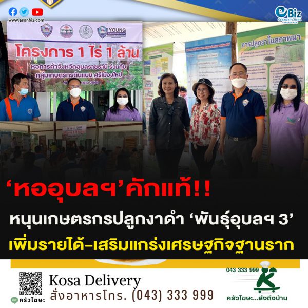 ‘หออุบลฯ’คักแท้!!หนุนเกษตรกรปลูกงาดำ ‘พันธุ์อุบลฯ 3’ เพิ่มรายได้-เสริมแกร่งเศรษฐกิจฐานราก
