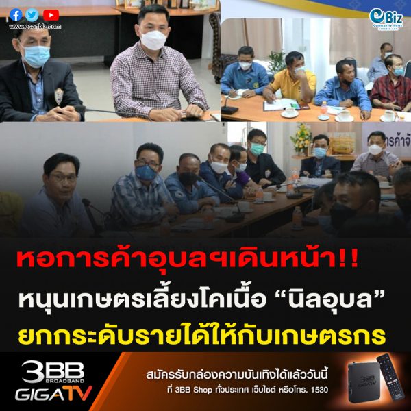 หอการค้าอุบลฯเดินหน้า!!หนุนเกษตรเลี้ยงโคเนื้อ “นิลอุบล”ยกกระดับรายได้ให้กับเกษตรกร