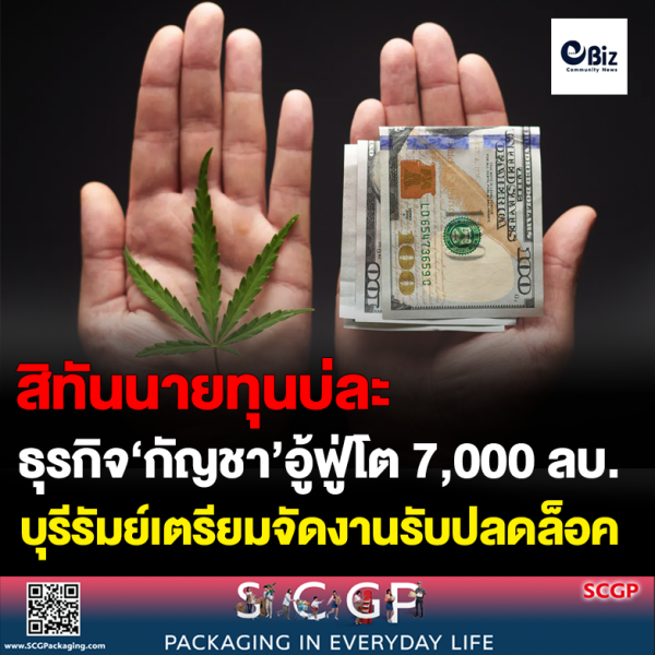 ธุรกิจ ‘กัญชา’ อู้ฟู่โต 7,000 ล้านบาท