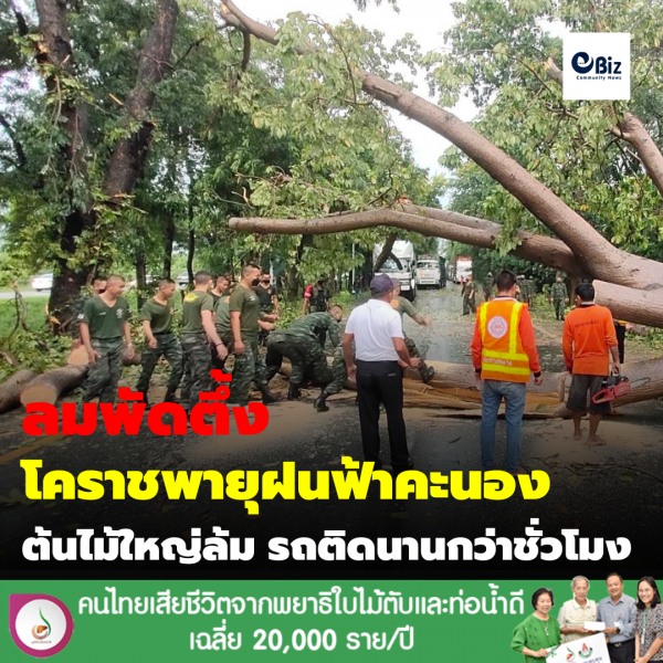 ลมพัดตึ้ง พายุฝนฟ้าคะนอง ต้นไม้ใหญ่ล้ม รถติดนานกว่าชั่วโมง
