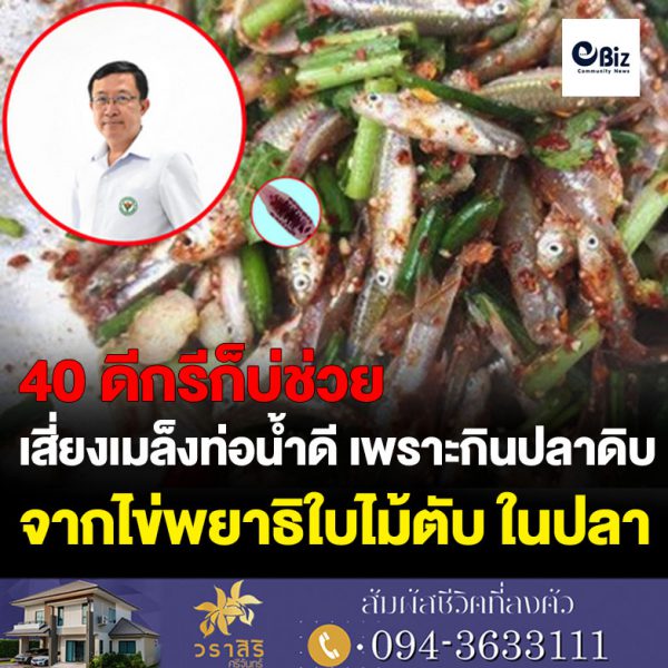 สคร.9 โคราช เตือน กินก้อยปลา ลาบปลาดิบ เสี่ยงโรคพยาธิใบไม้ตับ