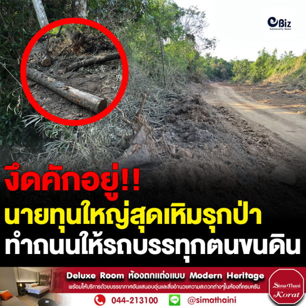 นายทุนใหญ่รุกป่าฯทำถนน
