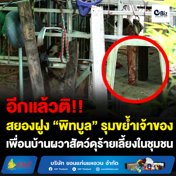 พิทบูล” รุมขย้ำเจ้าของสาหัส