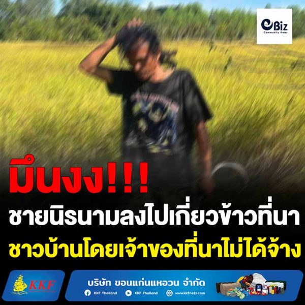 ขอนแก่น แบบก็ได้เหรอ ชายนิรนามแอบเกี่ยวข้าวในที่นาชาวบ้าน