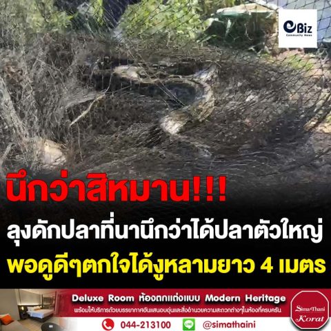 ลุง65วางลอบดักปลาในสระน้ำกลางทุ่งนาคิดว่าได้ปลาตัวใหญ่เขาดูใกล้ๆตกใจกลายงูหลามยาว 4 เมตร