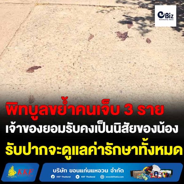 เพื่อนบ้านผวา!! พิทบูลมุดรั้วออกมาขย้ำเจ็บ 3 ราย หนุ่มใหญ่ขาเหวอะ