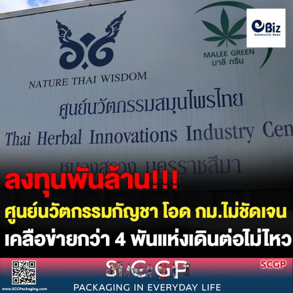 โคราช เครือข่ายศูนย์นวัตกรรมกัญชา โอด กม.ไม่ชัดเจน วิสาหกิจ-เอกชนร่วม 4 พันแห่งเดินต่อไม่ไหว วอน รบ.ช่วยด้วย  