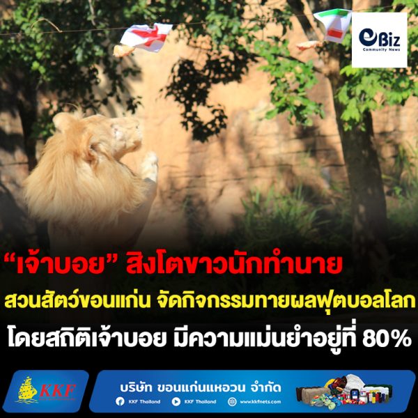“เจ้าบอย” สิงโตขาวฉายานักแม่นทำนายผลฟุตบอล !!