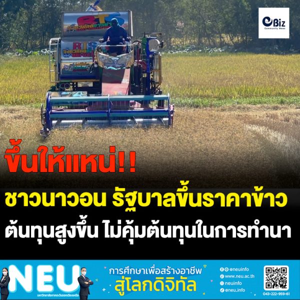 ชาวนาขอราคาข้าวเหนียวกิลกรัม 10 บาท ข้าวหอมมะลิกิโลกรัม 14 บาท