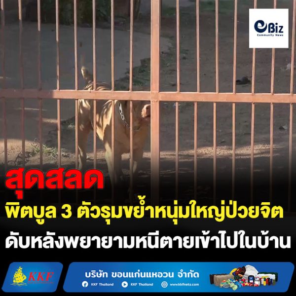 ขอนแก่น กล้วยปิ้ง มันปิ้ง สูตรเตาถ่านโบราณ ขายดีรับลมหนาว