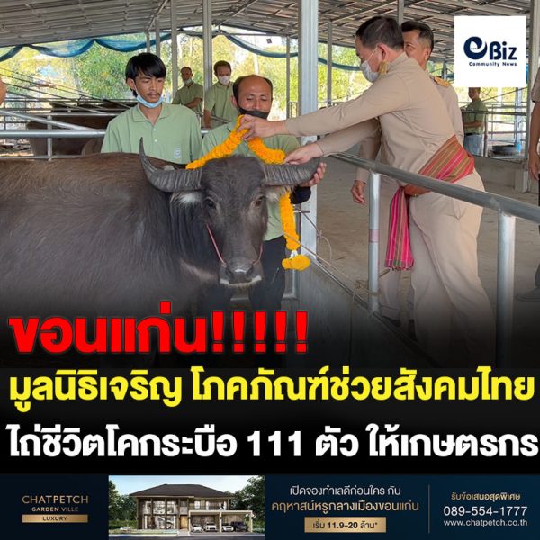 มูลนิธิเจริญ โภคภัณฑ์ช่วยสังคมไทย ไถ่ชีวิตโคกระบือ 111 ตัว
