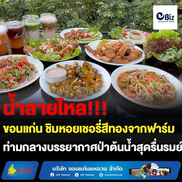 ขอนแก่น ชิมหอยเชอรี่สีทองจากฟาร์มท่ามกลางบรรยากาศป่าต้นน้ำ