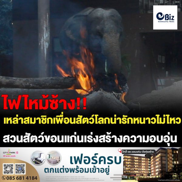 สวนสัตว์ขอนแก่น เร่งสร้างความอบอุ่นให้สัตว์ป่า หลังอากาศหนาวเย็นตลอดทั้งสัปดาห์ เนื่องจากสวนสัตว์ตั้งอยู่บนเขา