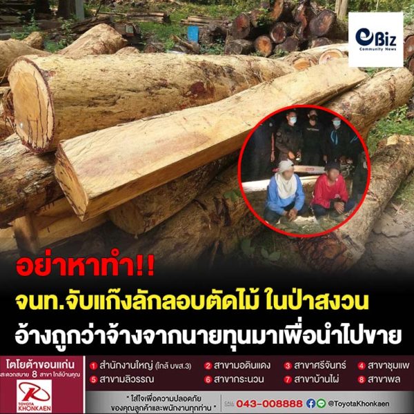 จับแก๊งมอดไม้ 4 รายที่ลักลอบตัดไม้ประดู่ในป่าสงวนแห่งชาติป่าพานพร้าวและป่าแก้งไก่