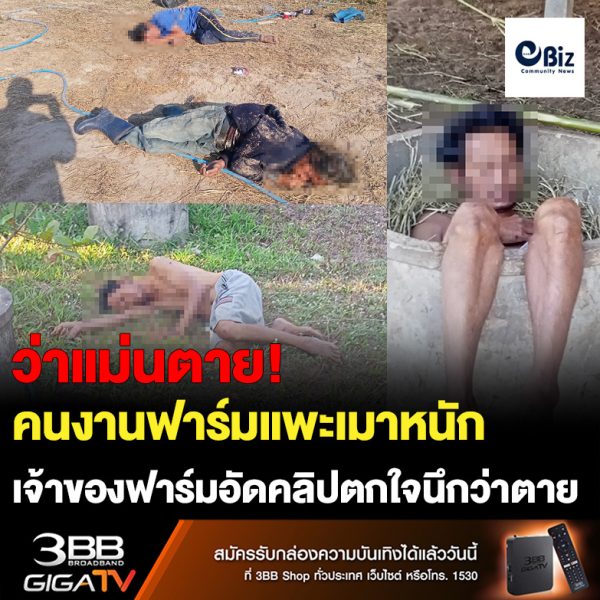 แชร์กันว่อน คลิป 3 คนงานฟาร์มแพะที่บ้านดงเหล่า ต.โพนทอง อ.โพธิ์ตาก จ.หนองคาย พากินดื่มเหล้าขาวหนองคายบวกเหล้าขาวเมืองขอนแก่นเมาหนัก นอนเกลื่อน จนใครเห็นก็คิดว่าตาย สุดท้ายพบว่าดื่มเหล้ากันหนัก 3 คน หมด 9 ขวด เจ้าของฟาร์มแพะถ่ายไว้เป็นหลักฐานว่ากินเหล้ากันจนเมา แล้วโพสต์ในกลุ่มเฟซบุ๊ก ก่อนลูกสาวแชร์ต่อแล้วมีคนอื่น ๆ แชร์ต่อกันไป เจ้าของฟาร์มแพะ ยังฝากคนที่ชอบดื่มเหล้าว่า ดื่มแล้วอย่าให้เมาจนไม่มีสติ โดยเฉพาะช่วงเทศกาลปีใหม่นี้