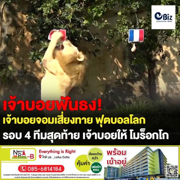 ขอนแก่น โค้ชเจ้าบอย ยังเลือกม้ามืด โมร็อกโก ผ่านเข้าชิงบอลโลก