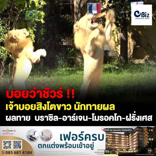 ขอนแก่น สิงโตขาวทายผลฟุตบอลโลกรอบ 8 ทีมสุดท้าย