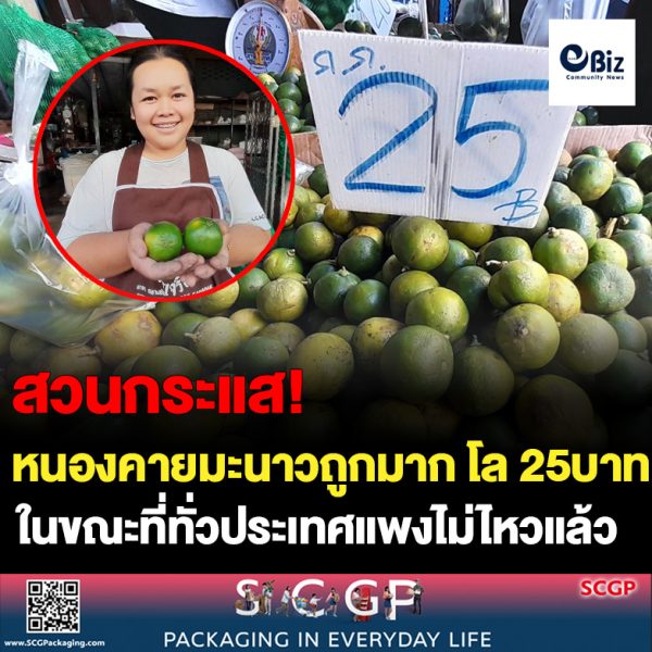 สวนกระแสมะนาวแพง!! มะนาวที่จังหวัดหนองคายขายถูกกิโลละ 25 บาทสวนกระแสราคามะนาวที่แพงทั่วประเทศ