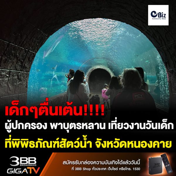 พ่อแม่ผู้ปกครอง ทั้งชาวไทยและชาวลาว พาบุตรหลาน เที่ยวงานวันเด็กที่หน่วยงานทั้งภาครัฐและเอกชนในจังหวัดหนองคาย จัดหลายแห่ง โดยเฉพาะที่โรงเรียนอนุบาลหนองคายที่เป็นจุดจัดงานหลักของจังหวัดหนองคาย และพิพิธภัณฑ์สัตว์น้ำจังหวัดหนองคาย คึกคักเป็นพิเศษ