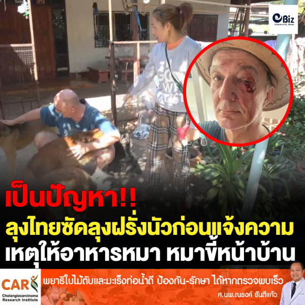 หมาขี้หน้าบ้าน เจ้าซัดกันนัว