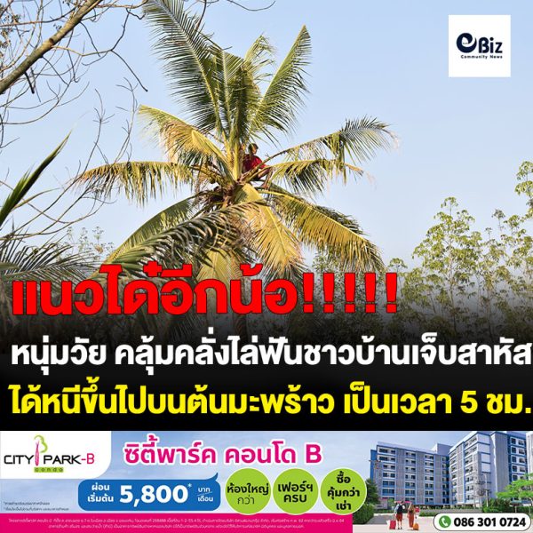 หนุ่มวัย 30 ชาว อ.รัตนวาปี จ.หนองคาย คลุ้มคลั่งใช้อีโต้ไล่ฟันชาวบ้านเจ็บสาหัส 2 ราย หลังก่อเหตุตำรวจเข้าระงับเหตุวิ่งหนีก่อนสบโอกาสปีนหนีตำรวจขึ้นไปหลบบนต้นมะพร้าว ใช้ลูกมะพร้าวเป็นอาวุธโยนใส่ตำรวจไม่ให้เข้าใกล้ ใช้เวลา 5 ชั่วโมงก่อนจับกุมได้ ด้านญาติเผยวันๆไม่ทำอะไร อยากให้นำไปรักษาและนำออกจากชุมชนด่วนเพราะเป็นบุคคลอันตราย