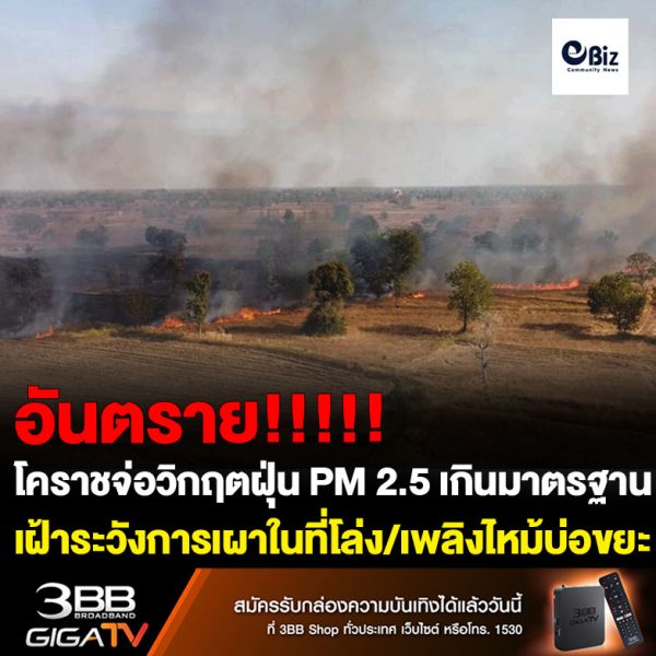โคราชจ่อวิกฤตฝุ่น PM 2.5 ตรวจวัดค่าเกินมาตรฐาน ออกหนังสือเวียนขอความร่วมมือ อปท. เฝ้าระวังเผาในที่โล่ง เพลิงไหม้บ่อขยะ  