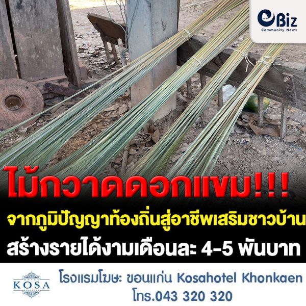 “ไม้กวาดดอกแขม” จากภูมิปัญญาท้องถิ่นสู่อาชีพเสริมชาวบ้านแก้งใหม่ ต.สังคม อ.สังคม จ.หนองคาย สร้างรายได้งามเดือนละ 4-5 พันบาท