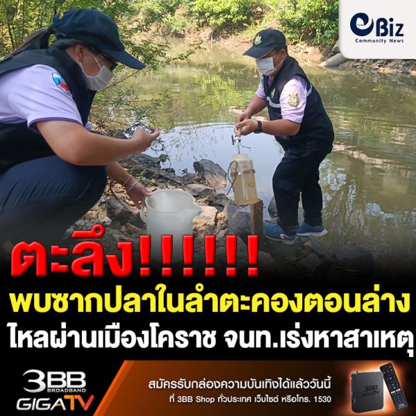 ตะลึง! พบซากปลาในลำตะคองตอนล่าง ช่วงไหลผ่านเมืองโคราช จนท.เร่งหาสาเหตุการตาย