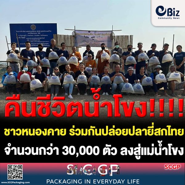 ศูนย์วิจัยและพัฒนาการเพาะเลี้ยงสัตว์น้ำจืดหนองคาย ร่วมกับสำนักงานประมงจังหวัดหนองคาย ผู้นำชุมชน ชาวบ้าน และ CEPF-IUCN ซึ่งเป็นองค์การระหว่างประเทศเพื่อการอนุรักษ์ธรรมชาติและ ทรัพยากรธรรมชาติร่วมปล่อยพันธุ์ปลายี่สกไทย ขนาด 3-5 เซนติเมตร จำนวน 30,000 ตัว ที่ได้จากการเพาะพันธุ์จากแม่น้ำโขงตามโครงการเพาะพันธุ์ปลายี่สกไทยในแม่น้ำโขงเพื่อฟื้นฟูทรัพยากรในแม่น้ำโขงและลำน้ำสาขา ลงในแม่น้ำโขง ณ บริเวณเขตอนุรักษ์ท่าน้ำโขงวัดท่าสองคอน ต.บ้านม่วง อ.สังคม จ.หนองคาย