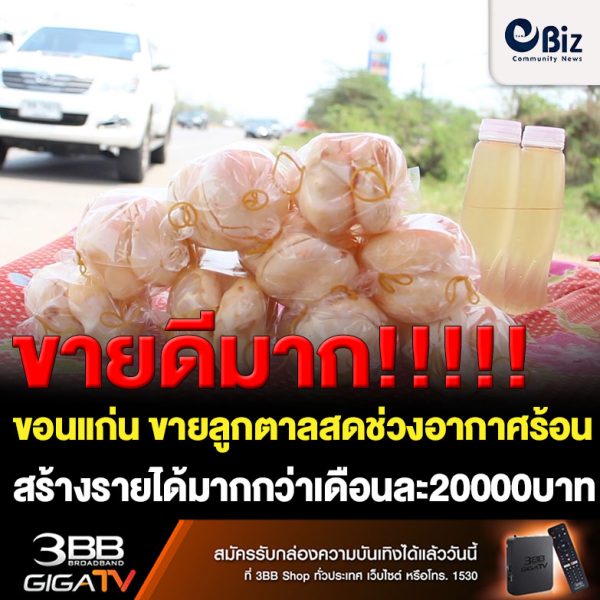พ่อค้าแม่ค้าขายลูกตาลสด ริมถนนมะลิวัลย์ จ.ขอนแก่น มีรายได้จากการเฉาะลูกตาลสดวางขาย เดือนละไม่ต่ำกว่า 20,000 บาท หลังจากสภาพอากาศที่ขอนแก่นสูงขึ้นอย่างต่อเนื่องรับเทสกาลสงกรานต์ ทำให้ประชาชนแวะซื้อไปแช่เย็นไว้รับประทานคลายร้อน