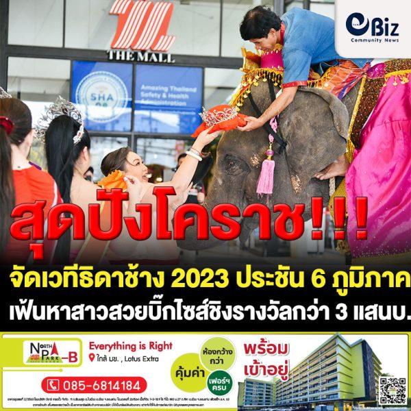 สุดปัง! โคราชจัดเวทีธิดาช้าง 2023 ประชัน 6 ภูมิภาค เฟ้นหาสาวสวยบิ๊กไซส์ ชิงรางวัลกว่า 3 แสนบาท
