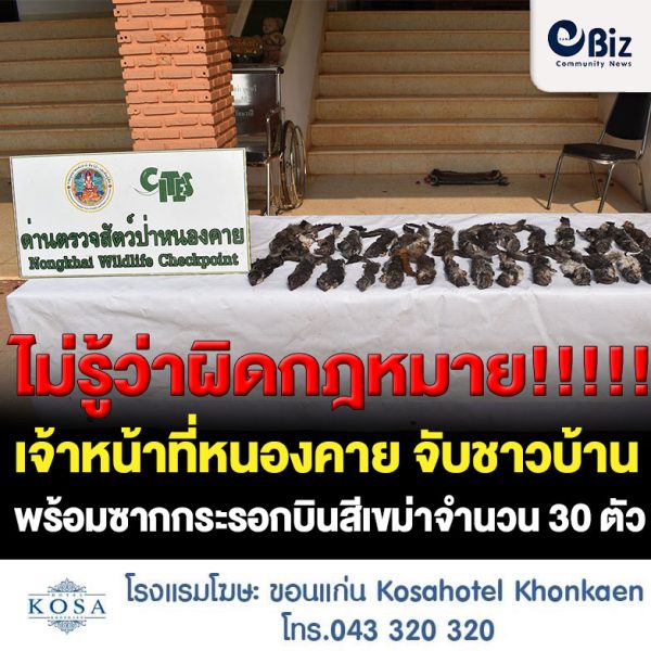 เจ้าหน้าที่ชุดสนธิกำลัง อ.รัตนวาปี จ.หนองคาย จับชาว จ.ขอนแก่น พร้อมซากกระรอกบินสีเขม่าจำนวน 30 ตัว