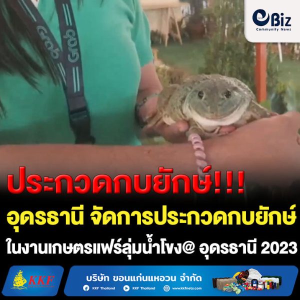 หอการค้าจังหวัดอุดรธานี ร่วมกับกลุ่มสมาร์ทฟาร์มเมอร์อุดรธานี จัดการประกวดกบยักษ์ ภายในงานเกษตรแฟร์ ลุ่มน้ำโขง @ อุดรธานี 2023