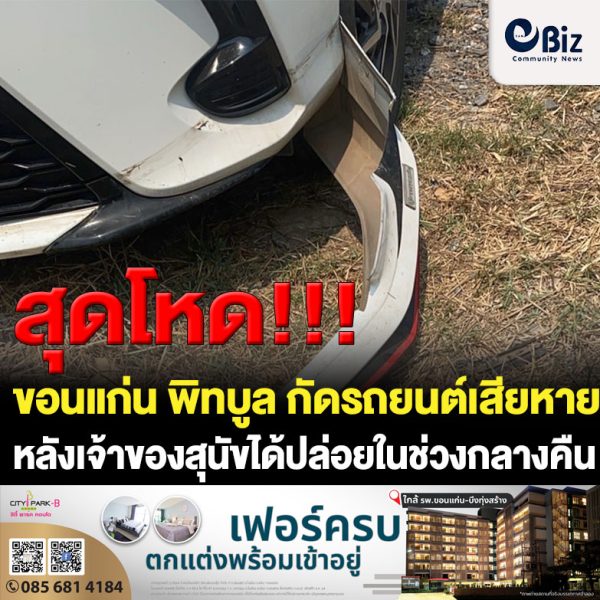 ขอนแก่น พิทบูล กัดรถยนต์เสียหายพร้อมกัดต้นไม้หอพัก